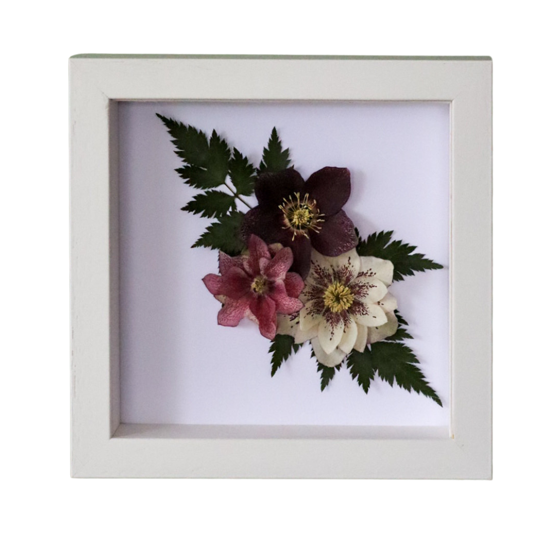Hellebores Flower Frame