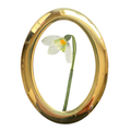One-of-a-Kind Snowdrop in Vintage Brass Frame