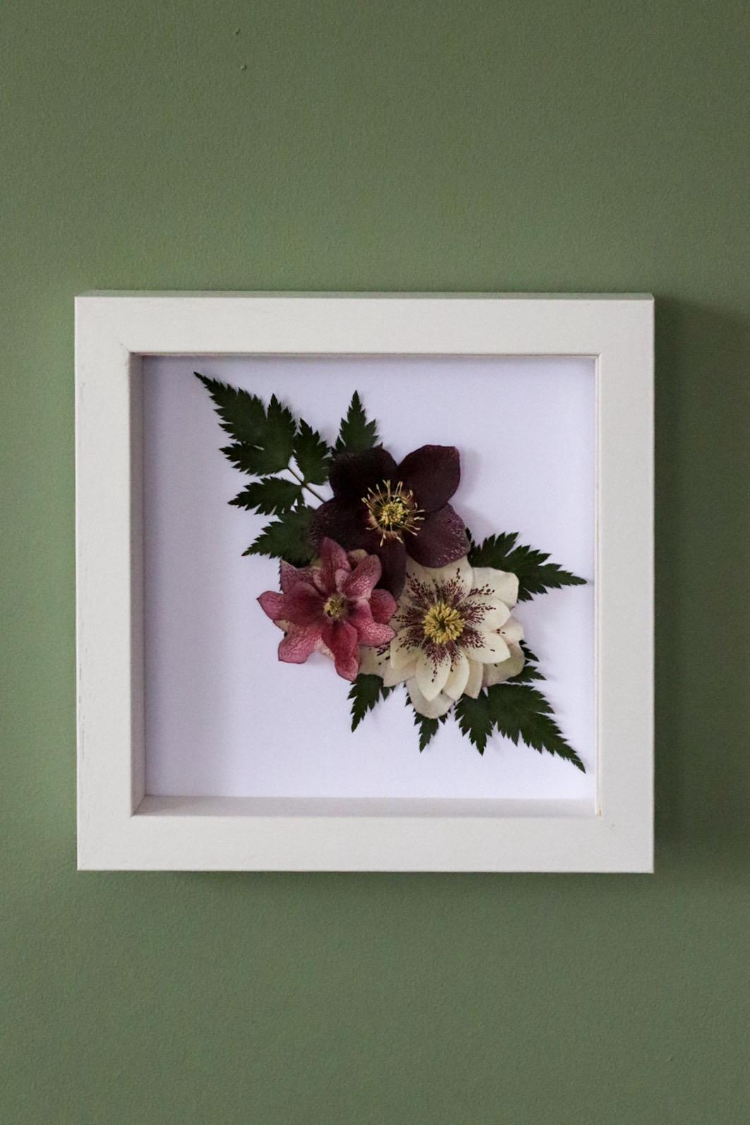 Hellebores Flower Frame