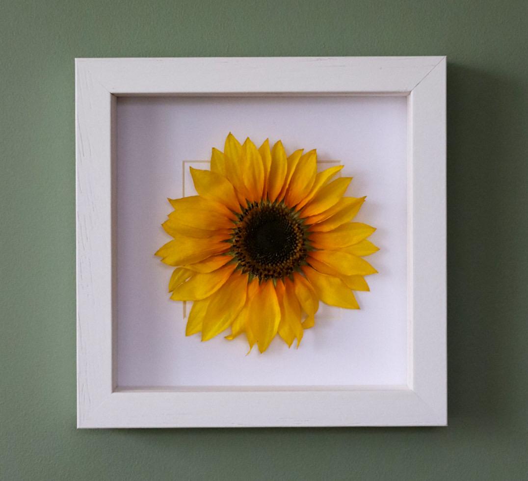 Sunflower Flower Frame